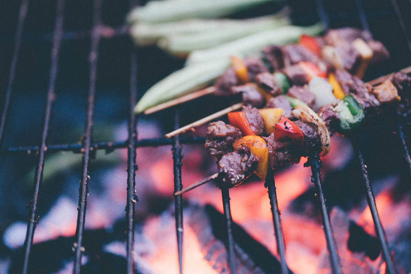 Productreview: de Traeger-barbecue