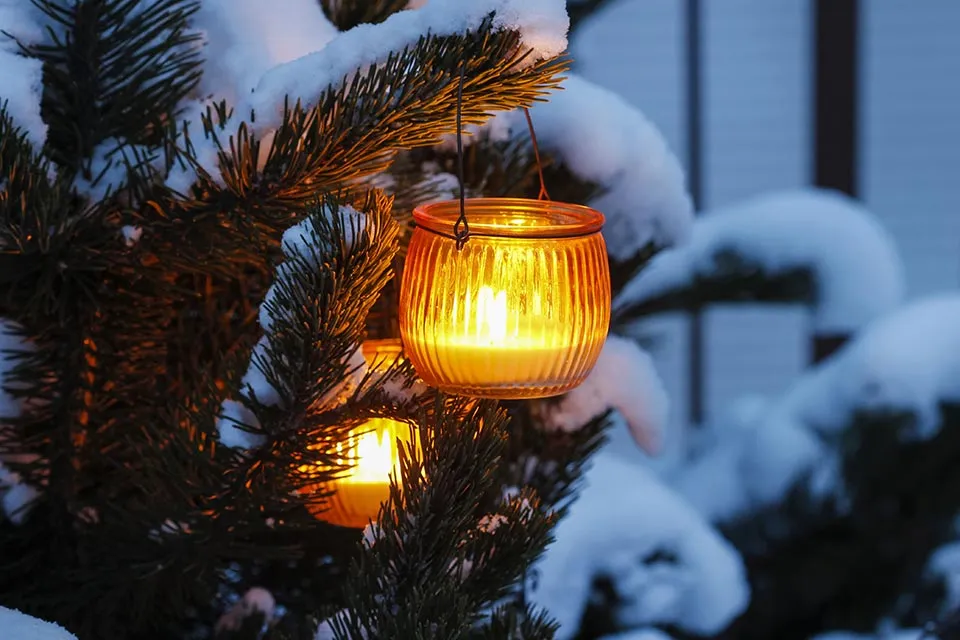 Tuintips voor in december