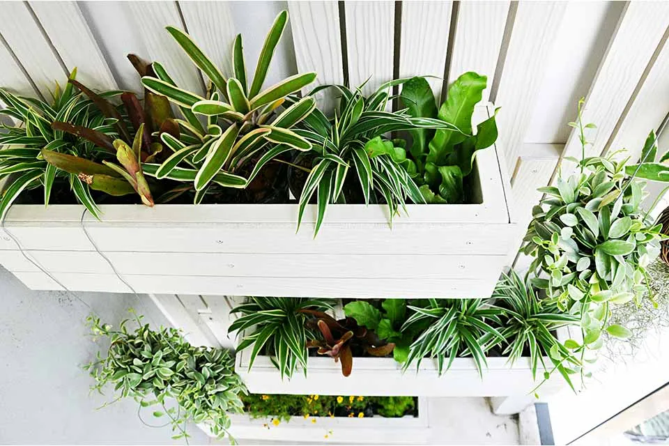 De voordelen van een verticale tuin