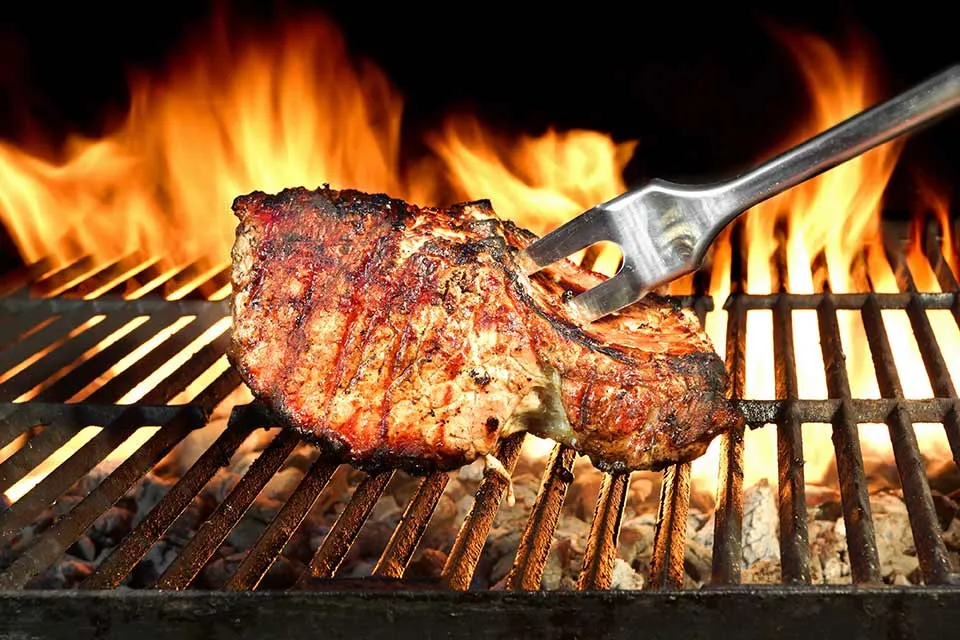 Geschiedenis van de barbecue