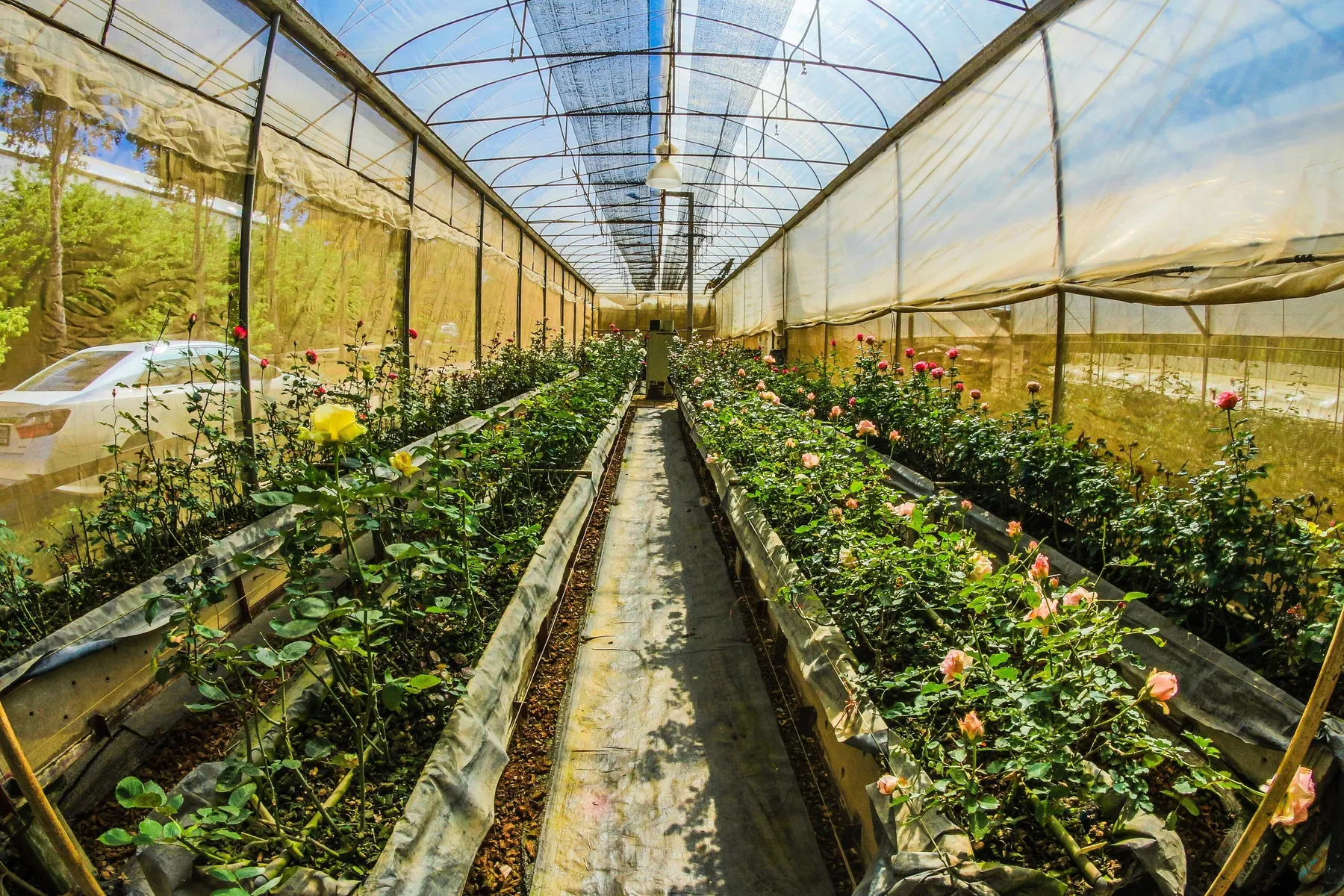 Vergroot je moestuinier-plezier met een tuinkas! 